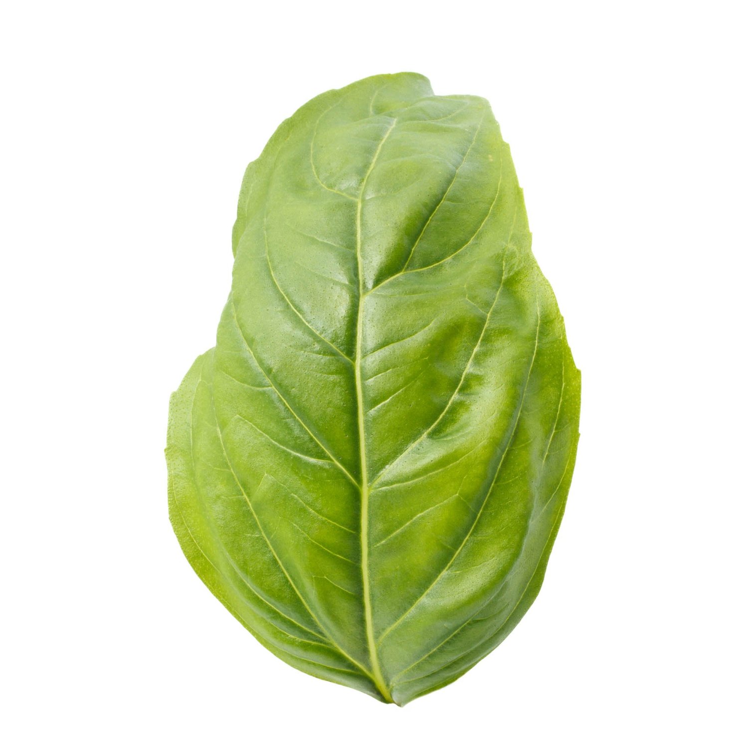 Nouveau Harvest product