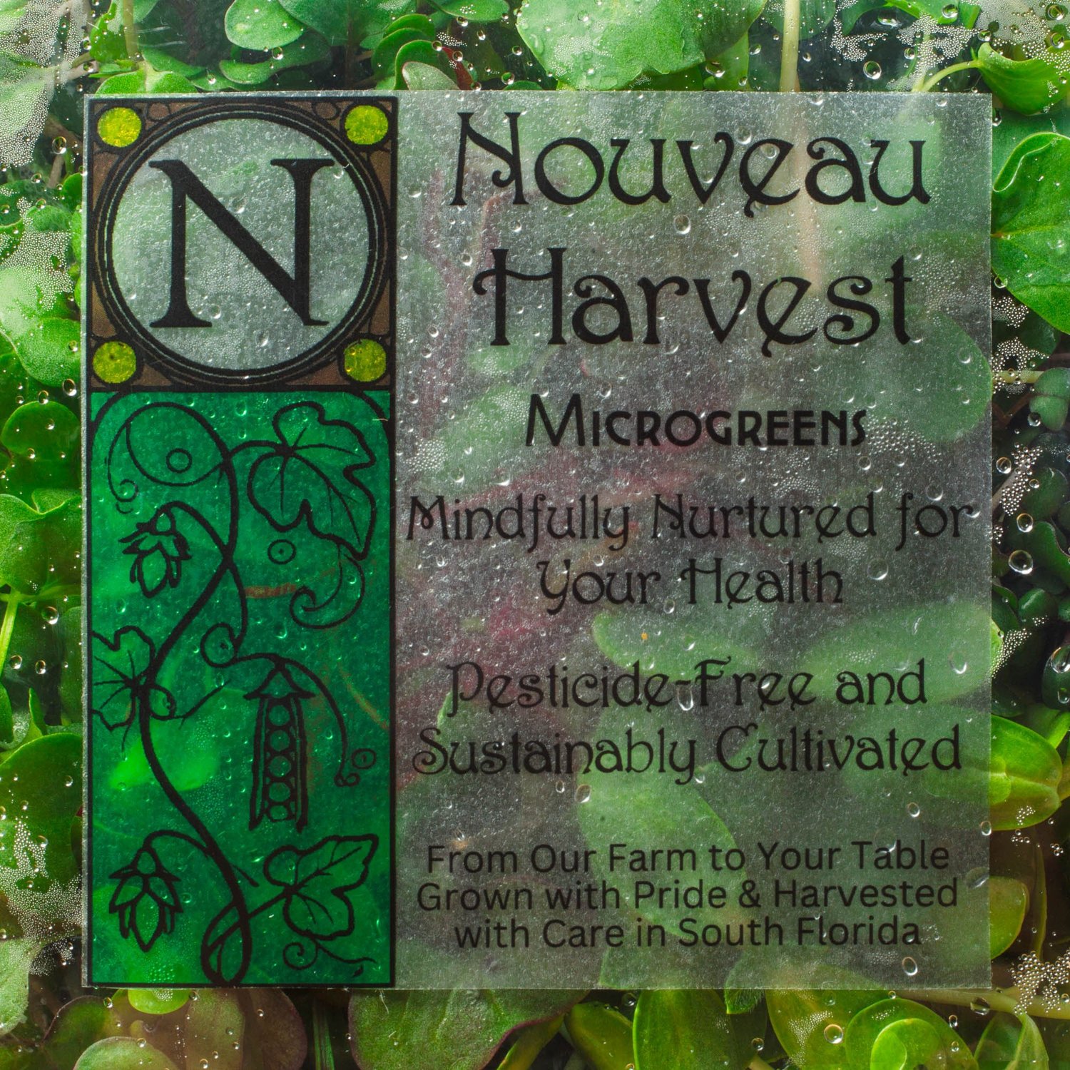 Nouveau Harvest product