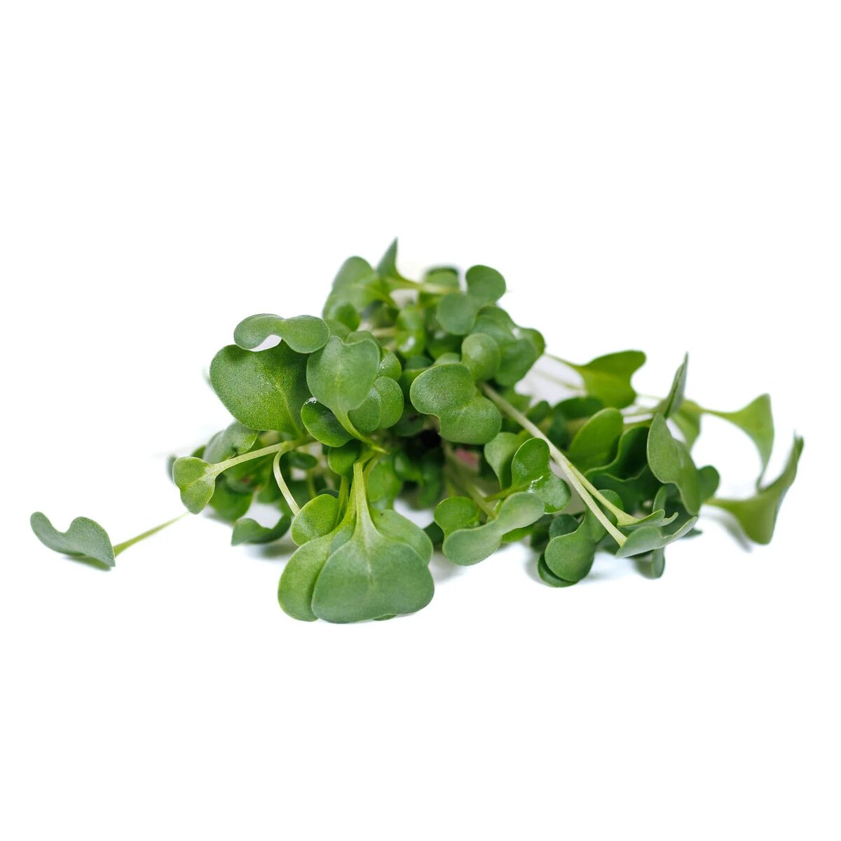 Nouveau Harvest product