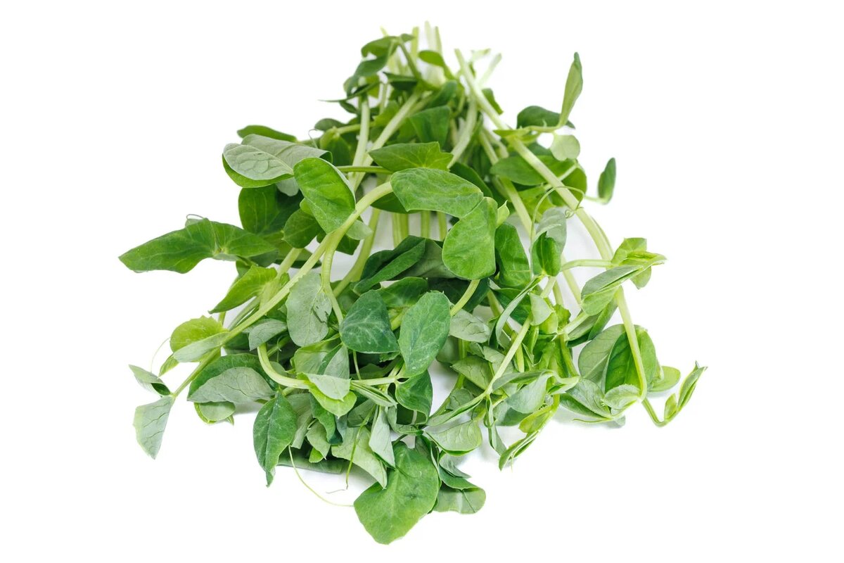 Nouveau Harvest product